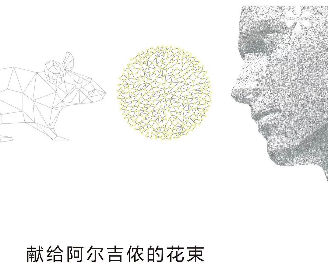 T.School夏校活动现场