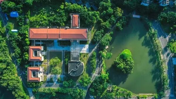 T.School夏校活动现场