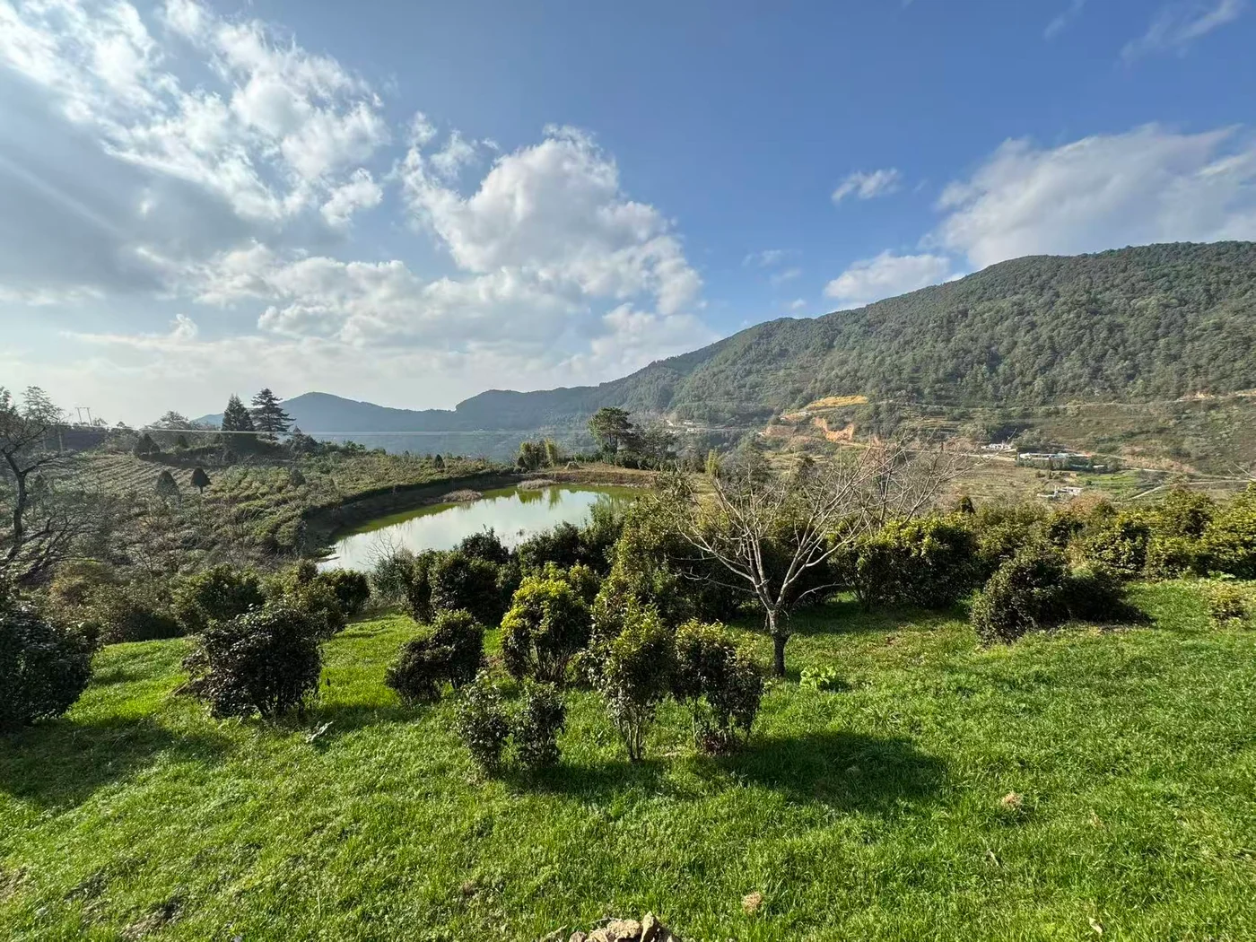 云南乡村山地与田园景色，2024年千里项目影像